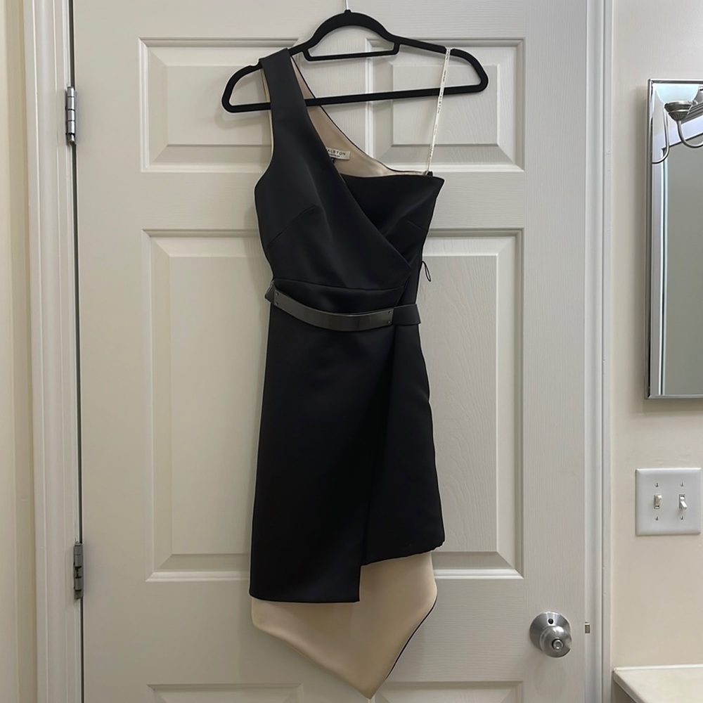 Halston Heritage dress SZ 0